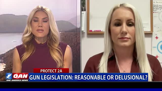 Gun Legislation: Reasonable or Delusional?