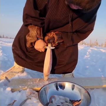 Food of the peoples of the North