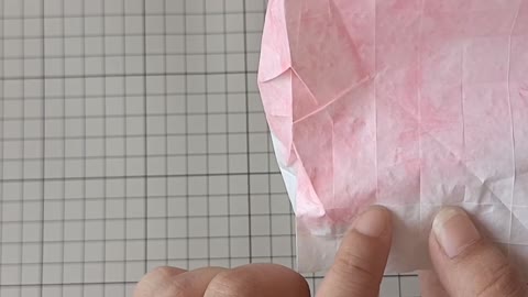 [Origami Tutorial] Beautiful Rose IX