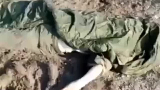 Dead Soliders spread out all over Ukraine