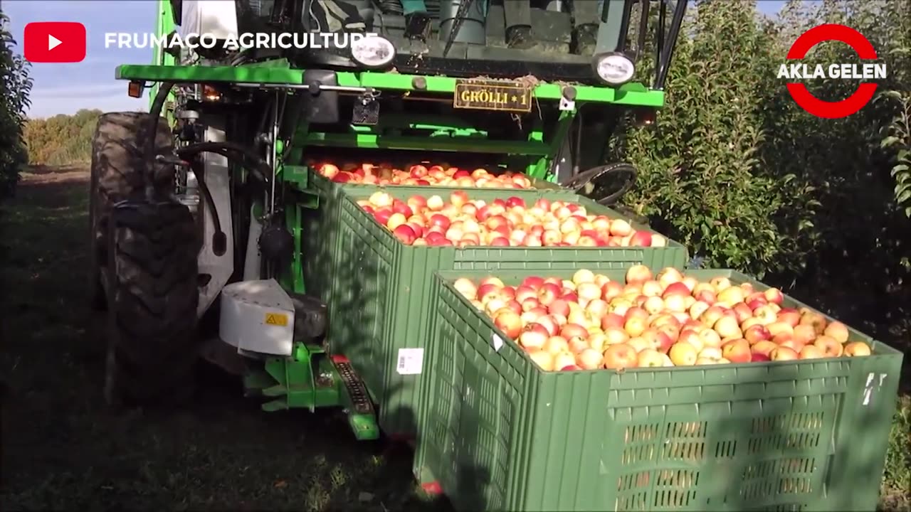 This Machine Harvests Olives As Expensive As Gold - Impressive Agriculture Machinery And Tractors