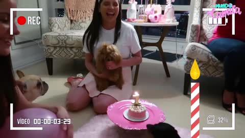 PRIMER CUMPLEAÑOS DE MI MASCOTA