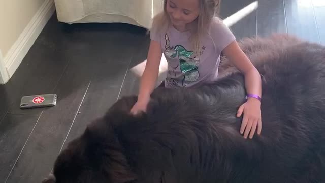 Newfoundland’s super sweet good-bye will melt your heart