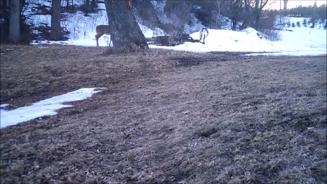 Fred Zepplin 2021, Gonna Get Sprayed Some Day!