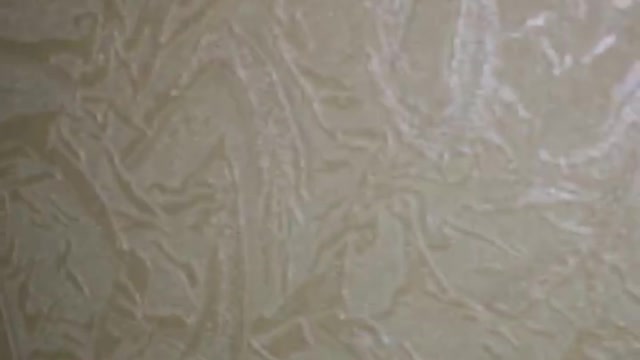 Kitten runs into hallway camera