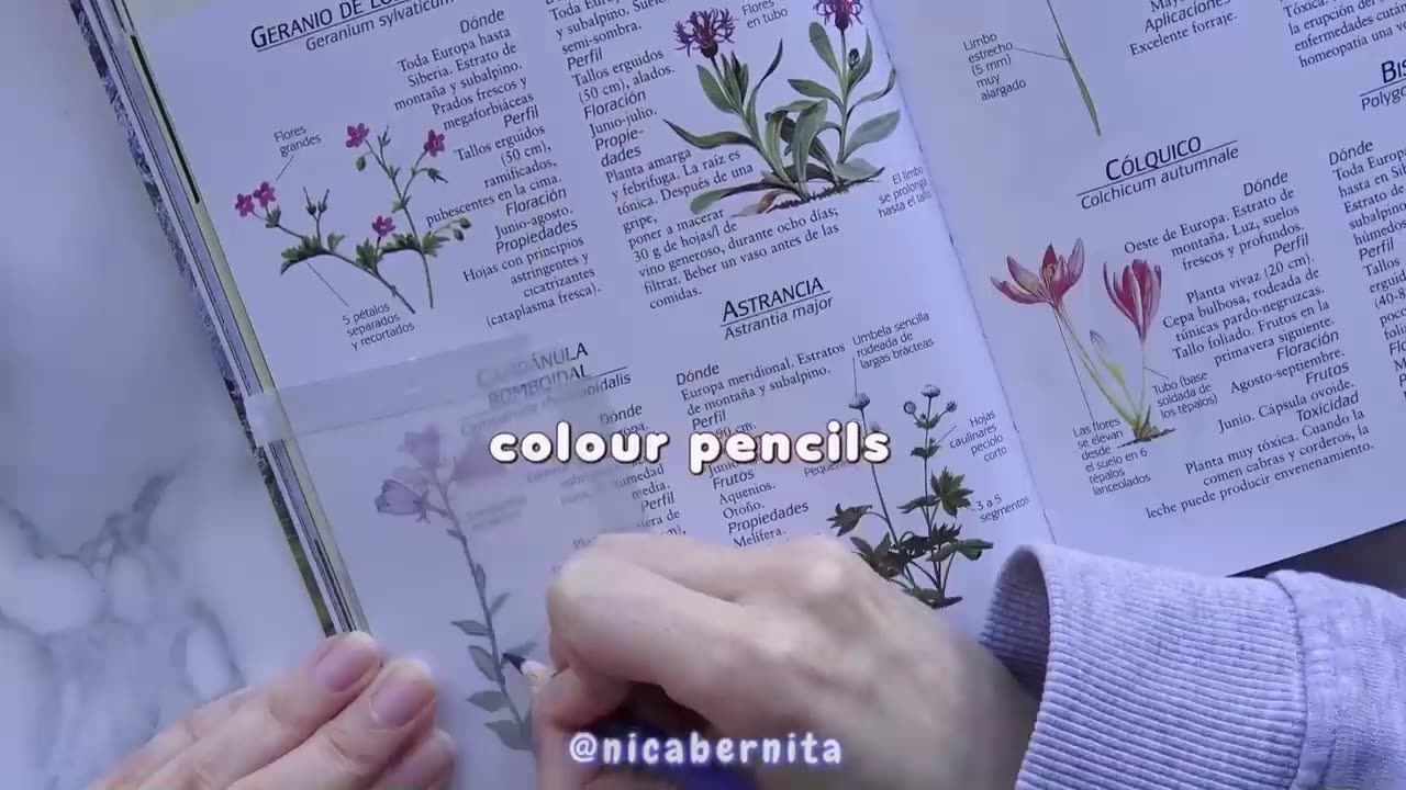 HOW TO MAKE A BROCHURE FOR SCHOOL PROJECTš” HANDMADE TRIFOLD BOOKLET FOR STUDENTS