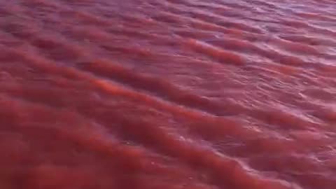 NOTHING TO SEE: Nile River Turns Red