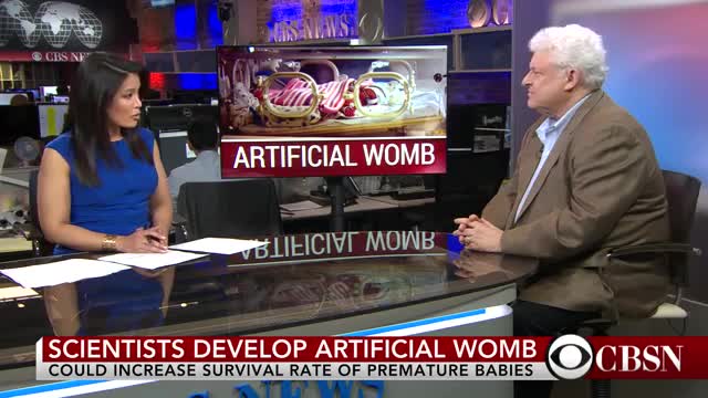 Artificial wombs could increase premature babies' chances of survival