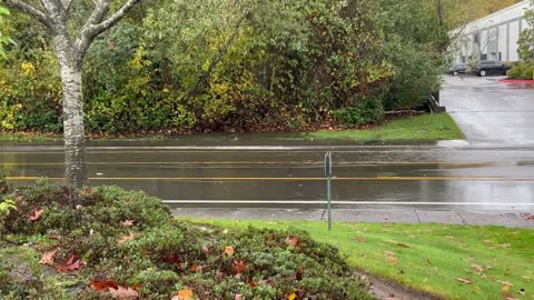 Flooded road, Everett WA