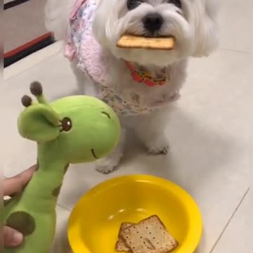 you better not eat this!