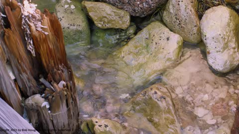 South Padre Island, Texas - 9-16-2022 - Ocean and Rocks