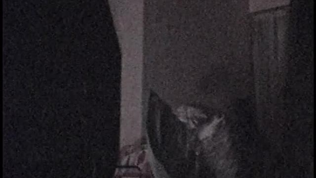 2004.04.15 Devon Sound of Music