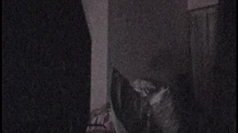 2004.04.15 Devon Sound of Music