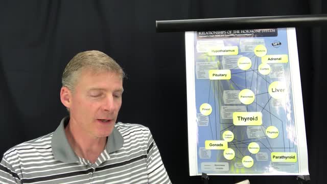 Is there really a single organ body type like adrenal-type or liver-type 148