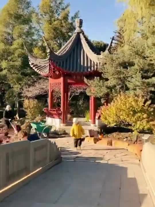 CHINESE GARDEN HIDDEN GEM #shorts