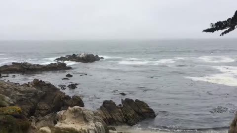 Carmel beach June 2017