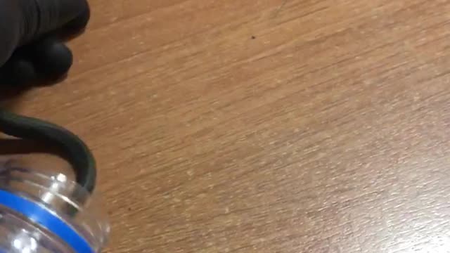 caught a snake