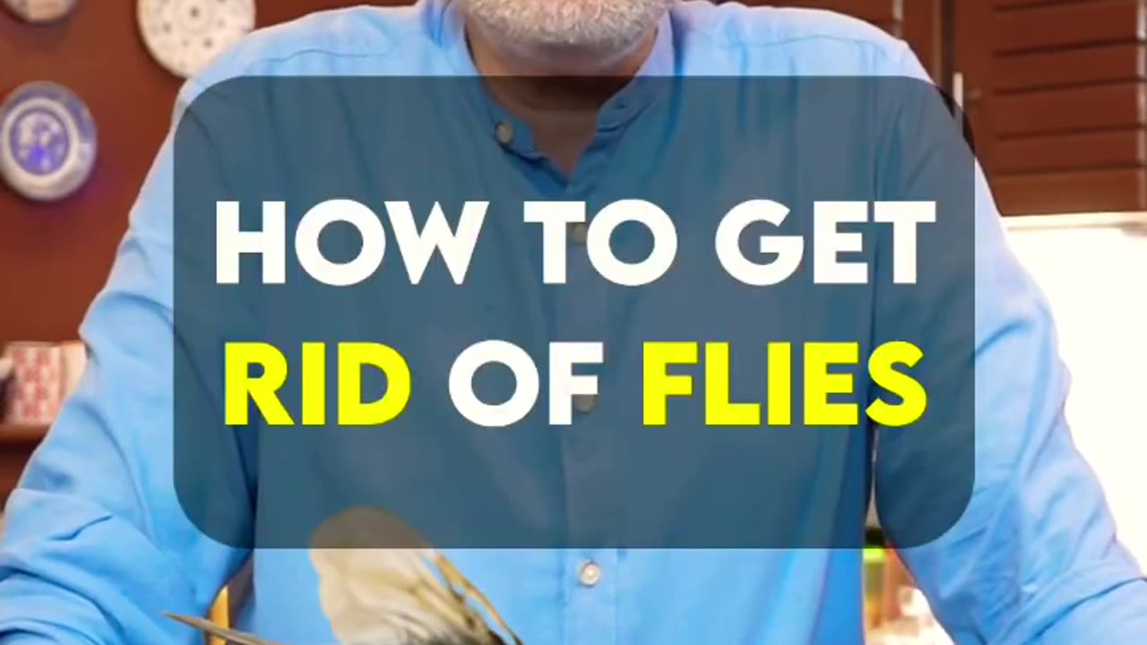 how to get rid of flies | Makhiyaan the easy way!|Metafood