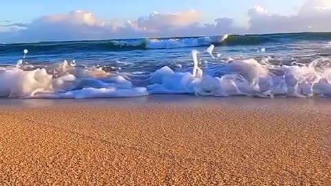 The golden beach and the silver sea.