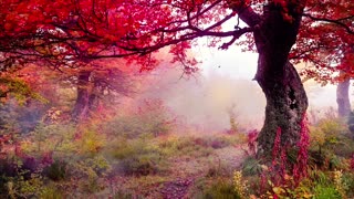 Abraham Hicks - A New Important Message - You Have To Hear It -