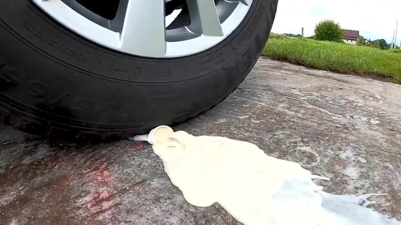 Car vs Dog Toy Experiment | Crushing soft and crunchy car stuff!