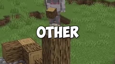 Is Minecraft Steve a god?