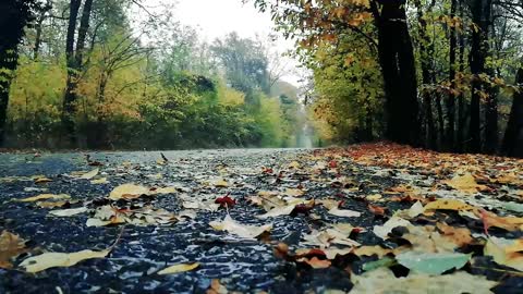 RELAX AND SLEEP TO THE SOUND OF RAIN