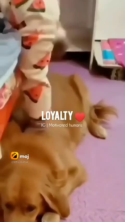 Loyalty can't be purchased