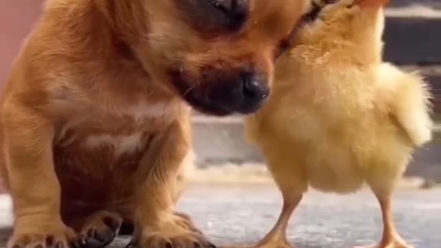 Such A Perfect Pair Of Friends 😍😘🤗