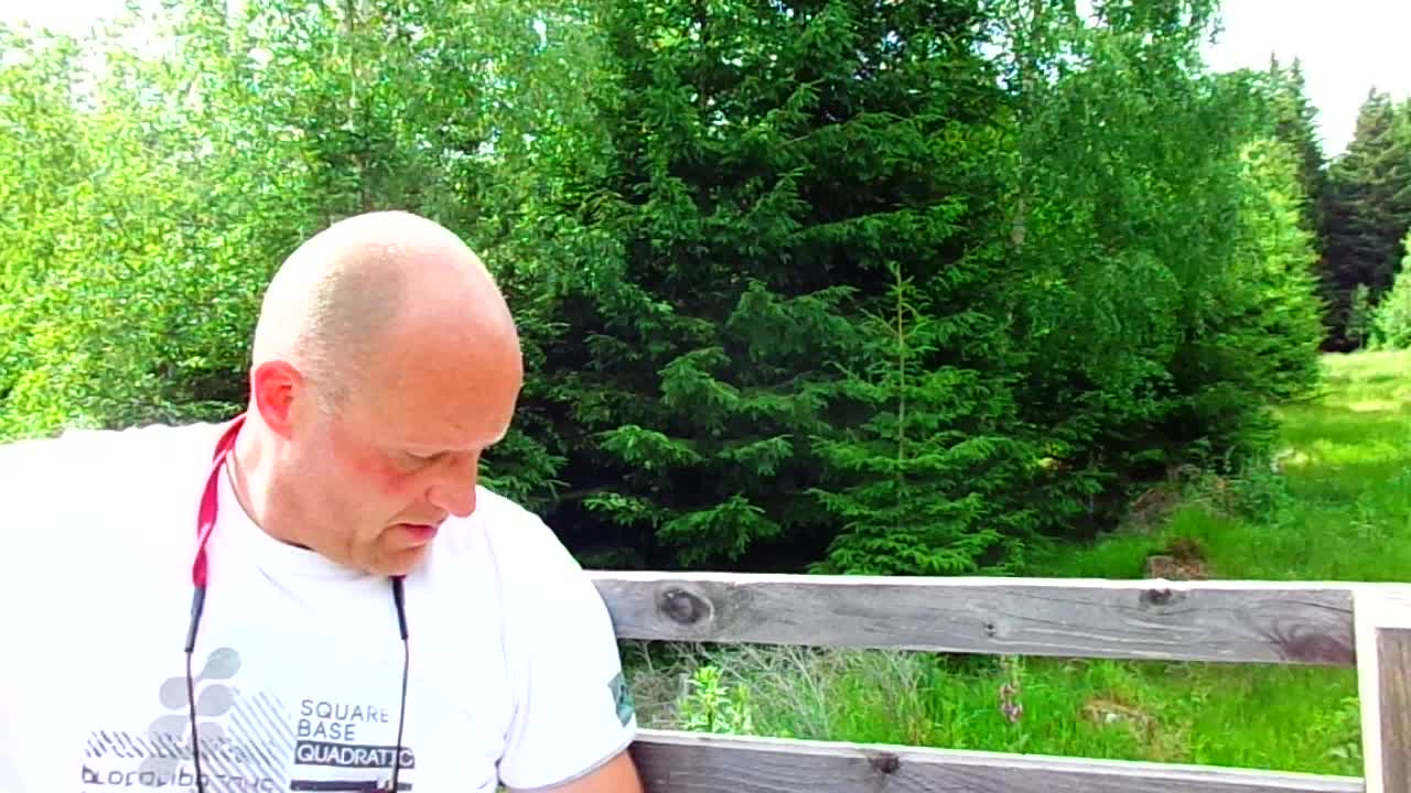 Vom Spotten