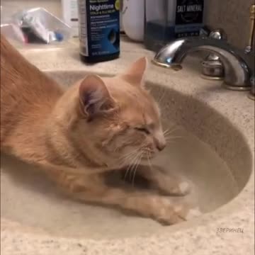 It was not possible to eliminate the blockage, you will have to drink water 😂