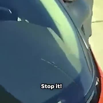 Stop the car Man attempts to evade police with officer clinging to windshield Shorts