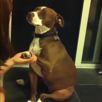 Anti-Loosh Video Number 63. LOOSH is real and bad. Explained below and watch the video!