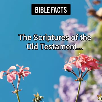 Old Testament |Pt.2| The Surprising Insights About Scripture Revealed!
