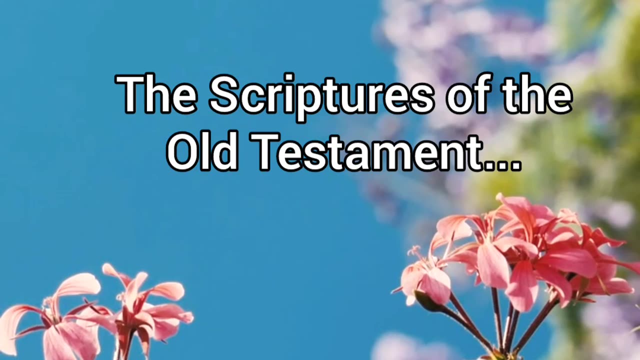 Old Testament |Pt.2| The Surprising Insights About Scripture Revealed!