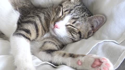 I Am a Sleep Specialist