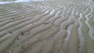 Não é o deserto, são as dunas na areia da praia, lindo demais! [Nature & Animals]