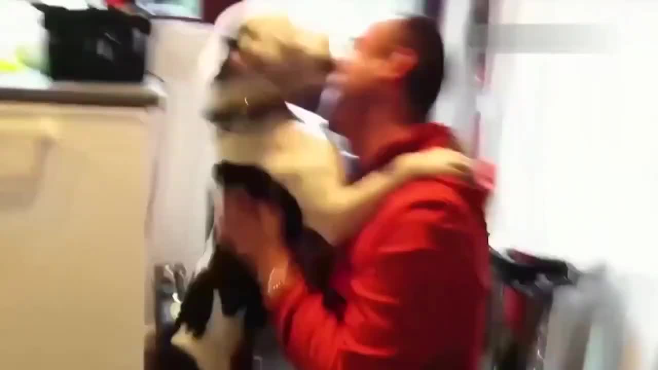 Dog meets owner after a very long time, try not to cry