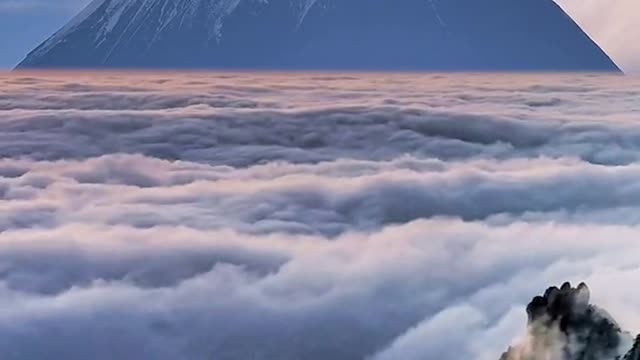 you can see the beauty of the world