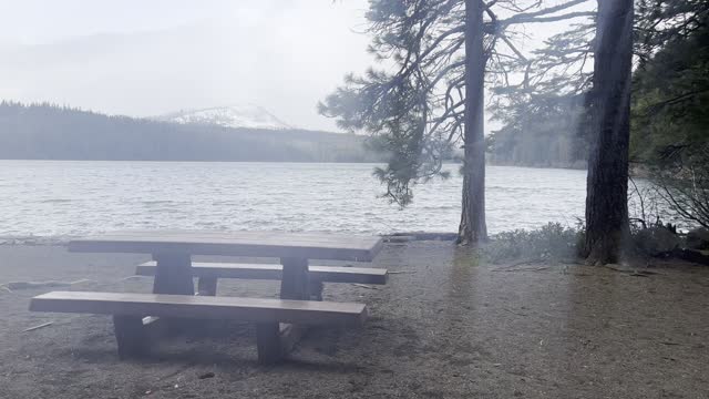 Day Use Beach Area of Suttle Lake – Central Oregon – 4K