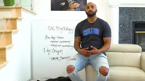Dog Psychology 🐶