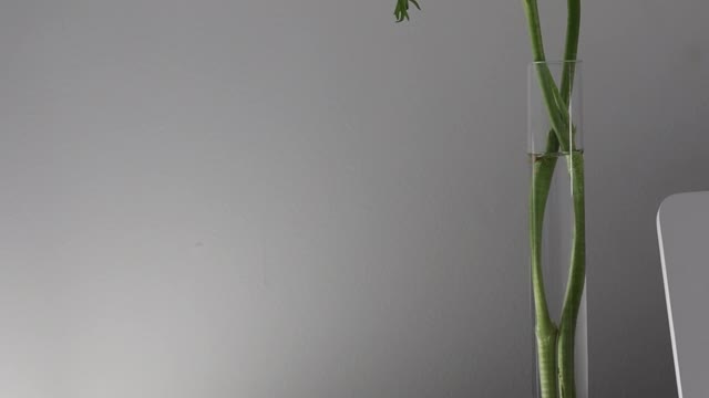 a-person-playing-a-piano