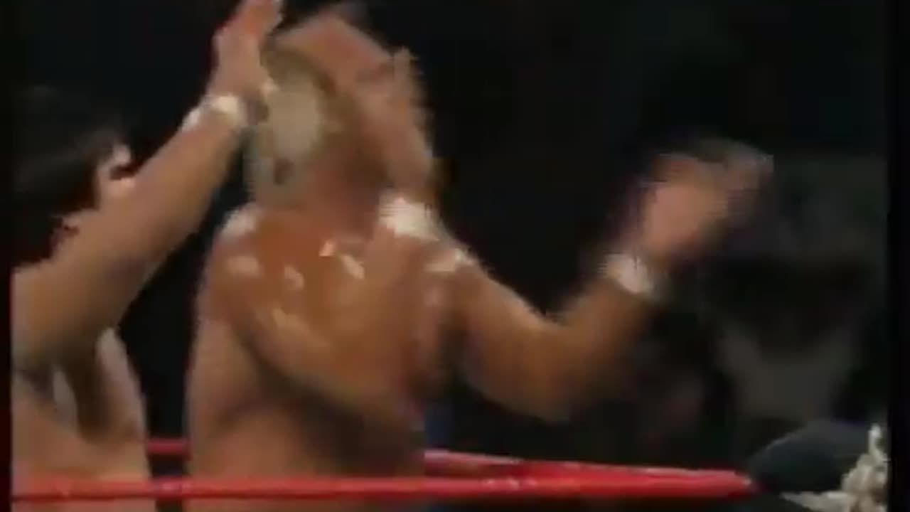 (1987.1.5) Hulk Hogan & Ricky Steamboat vs Randy Savage & Honky Tonk Man - WWF