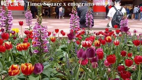 時代廣場 Times Square x emograms - kissmiklos, mhp1035, Jan 2021