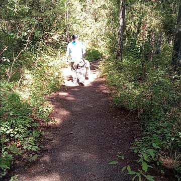 Calamity Camping Hiking