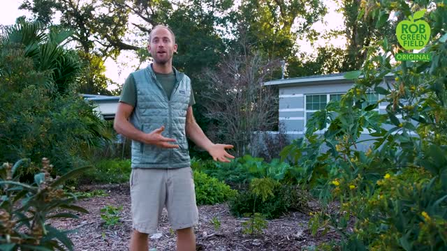 Simple and Sustainable Living in My 100 Square Foot Tiny House