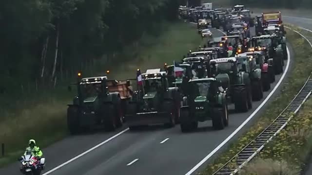 Netherlands Farmers