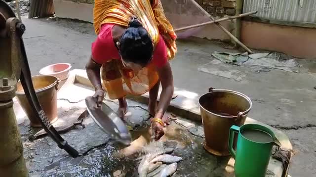 River FOLI FISH cooking recipe with fresh MULO & BEGUN by santali TRIBE couple-17