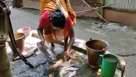 River FOLI FISH cooking recipe with fresh MULO & BEGUN by santali TRIBE couple-17