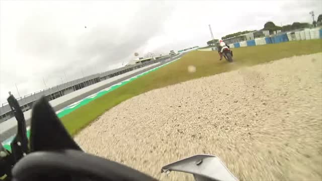 Bird Takes out Rider at Phillip Island Grand Prix Circuit